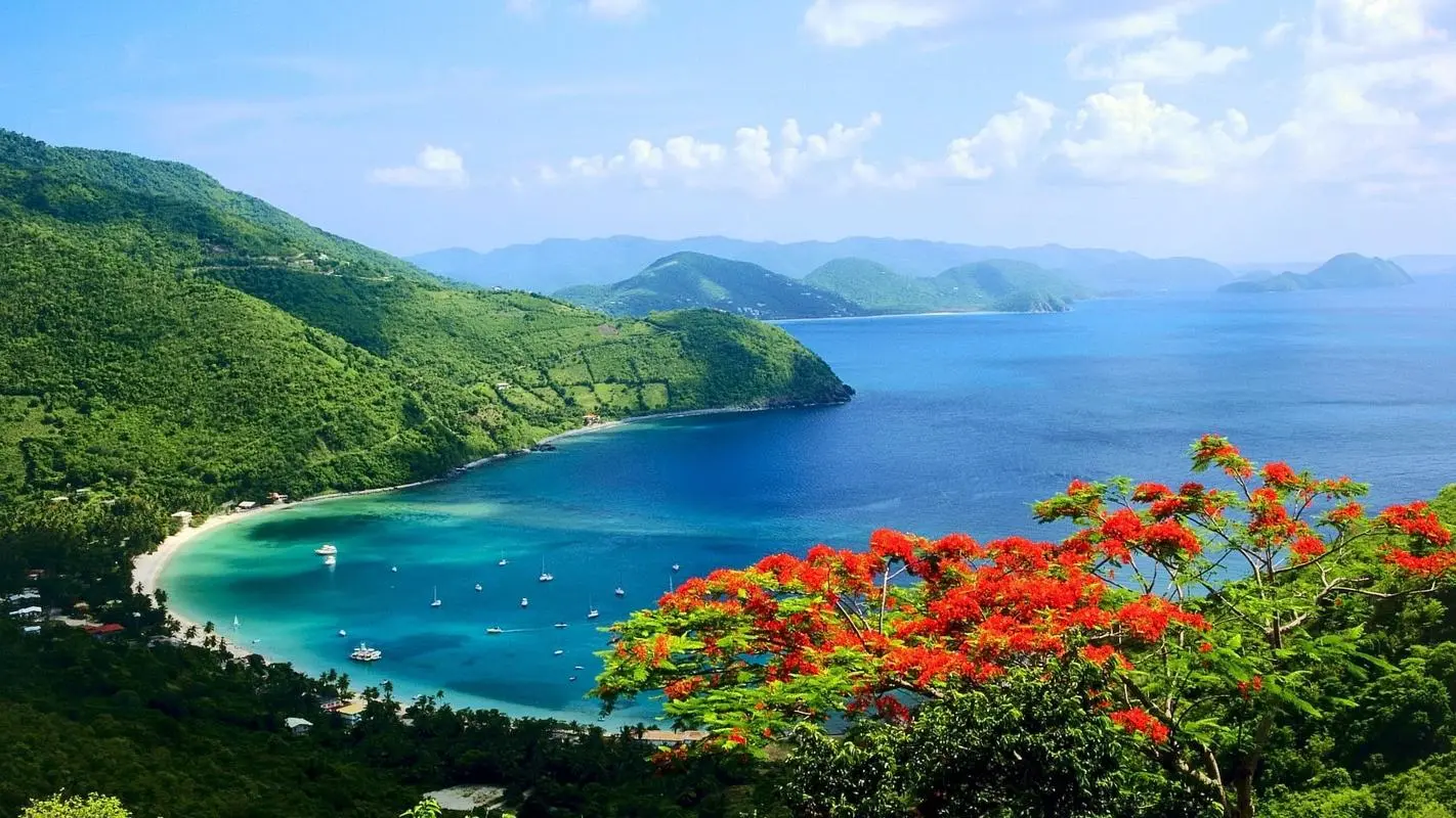 高效智能可靠性